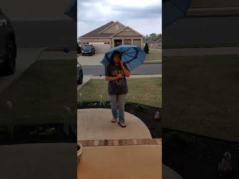 Unbiased Review - Repel Umbrella Windproof Travel Umbrella